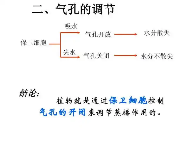 冀教版《蒸腾作用》ppt课件