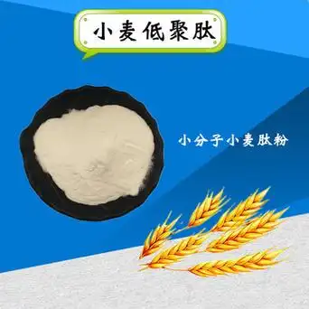 小麦低聚肽小麦肽小麦低聚肽粉小麦蛋白粉小分子肽-阿里巴巴