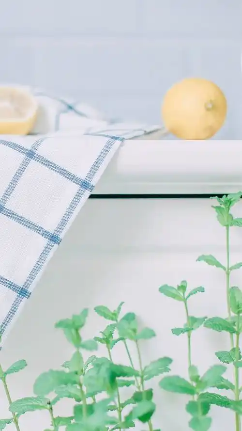 绿色唯美小清新手机壁纸图片