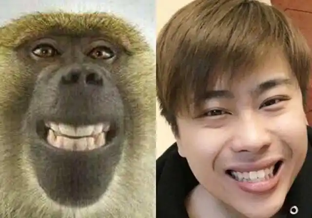 "过气"主播卢本伟如今有多火?这个投票数据说明了一切