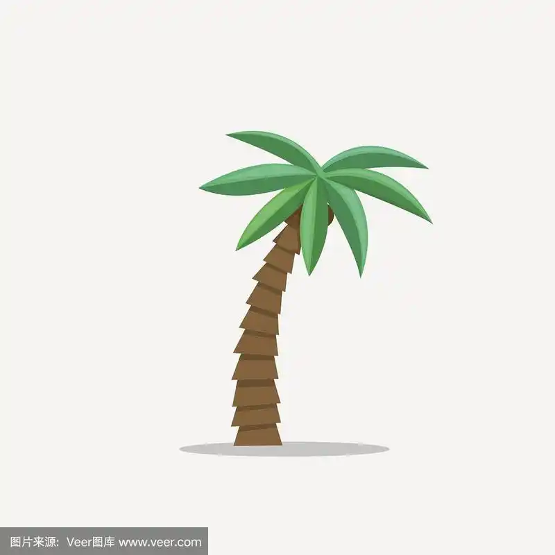 棕榈树在卡通风格孤立在白色背景矢量插图.