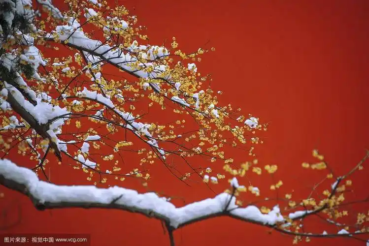 到北京旅游,必打卡景点,全的实用攻略_交通_门票_地铁