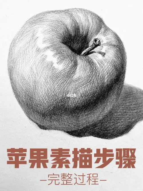 苹果素描步骤