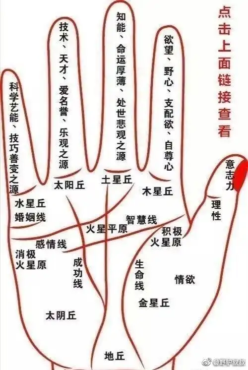 手相中最主要的三条线,便是感情线,智慧线和生命线.