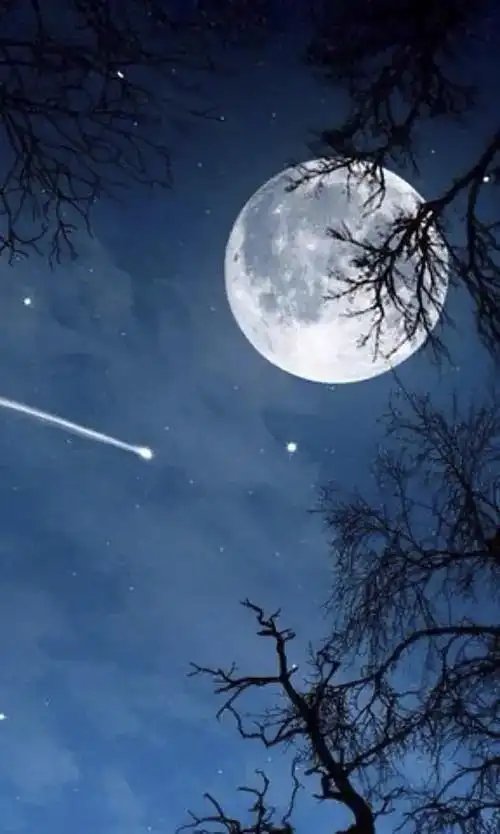 中秋美文|明月朗照无限好