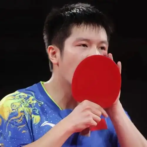 樊振东头像 - 知乎