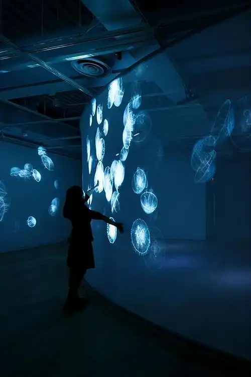 沉浸式空间设计:创造身临其境的感受