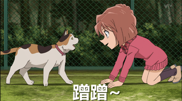 名侦探柯南动图 - 堆糖,美图壁纸兴趣社区