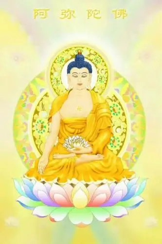 南无阿弥陀佛!今天是阿弥陀佛圣诞!