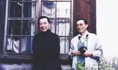 延续三代的一场家暴傅雷掌掴傅聪用绳紧勒儿子绑在大树下受罚