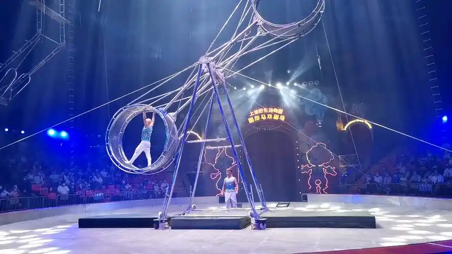 上海野生动物园马戏团表演