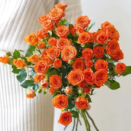 多头小玫瑰鲜花泡泡花束家用水养插花橙色芭比狂欢鲜花速递批发