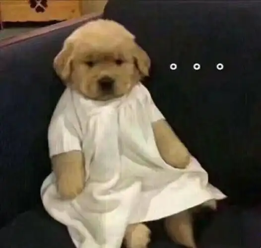 男人话算数母猪会上树(小猪佩奇)表情包 - 今日份热门表情包精选