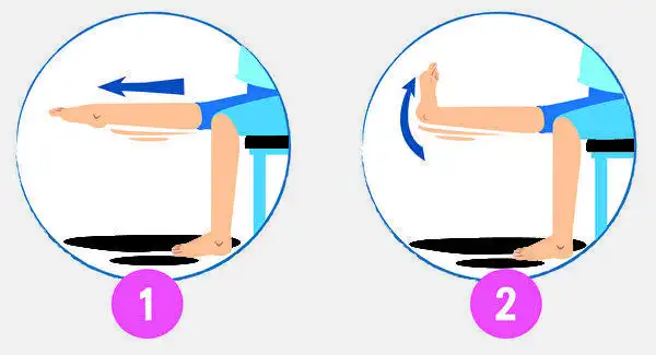 屈伸两足背的运动不但可以收缩,放松两腿的肌肉以增加两腿的血液循环
