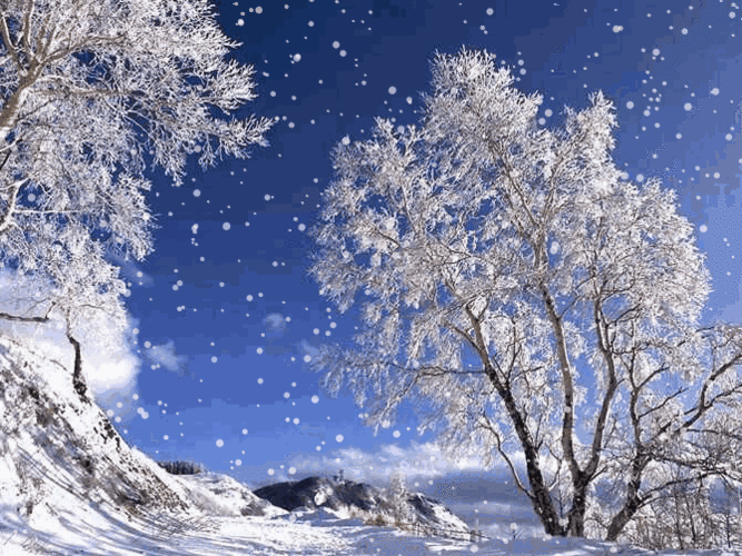 670_502gif 动态图 动图