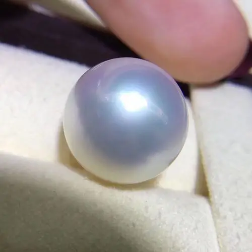 珍珠概述和分类