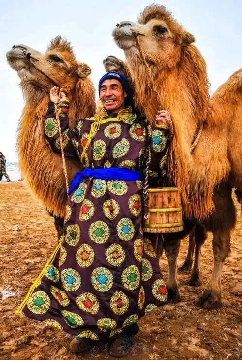 追光录影20载 沙海边陲护驼人-草原元素---蒙古元素 mongolia element