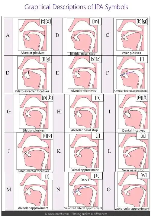 发音舌位图辅音发音