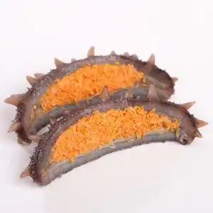 野生带籽海参8年参母刺参带籽海参孕妇即食海参高端即食海参500g