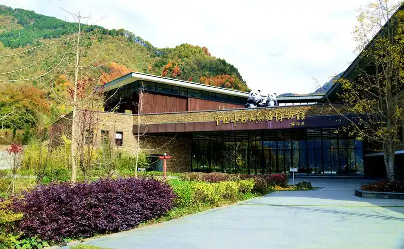 最新_卧龙自然保护区_游侠客摄影网_摄影旅游网站