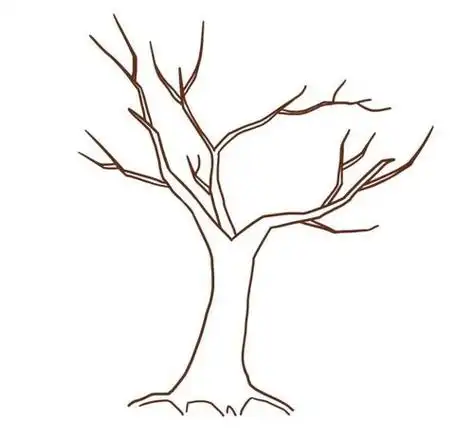 一棵枯树简笔画步骤 树桩