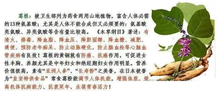 葛根粉为什么那么受欢迎?原来它那么强大!