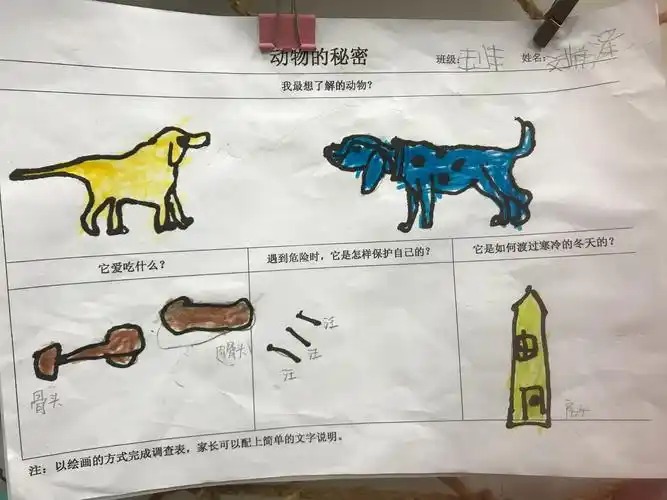 孩子们回家和爸爸妈妈一起完成了这份有关动物的调查表,通过查阅资料
