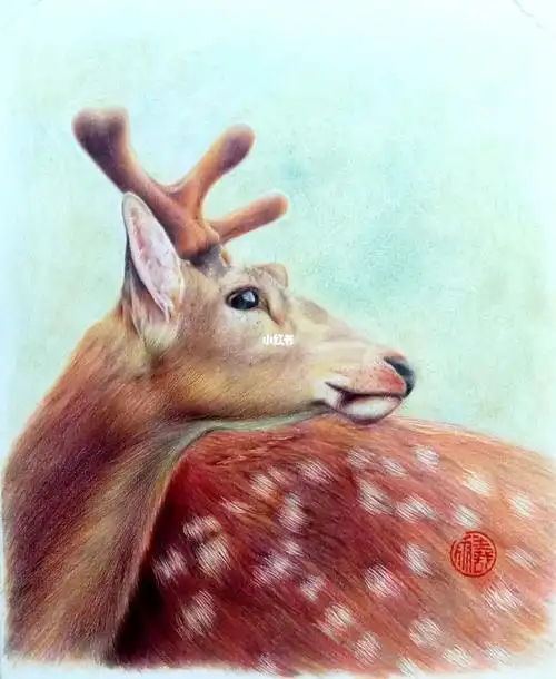 温柔的麋鹿还有可爱的铅笔头
