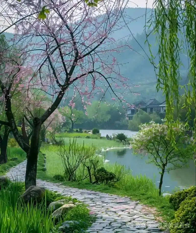 游山玩水看风景,来兴山真好,水上公路一路逍遥,昭君故乡多么美妙