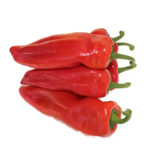 新鲜现摘五斤现发微辣蔬菜尖椒厚红用肉剁椒辣椒