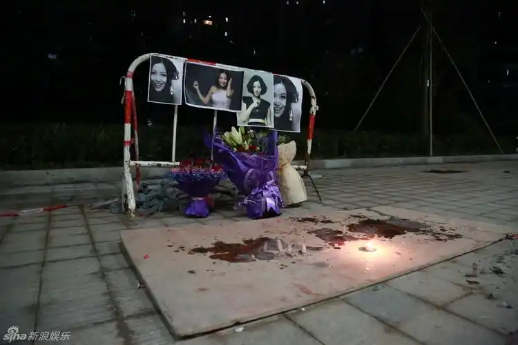 组图:姚贝娜追悼会现场肃穆 歌迷崩溃搀扶离开_高清图集_新浪网