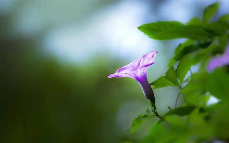 我与大自然有个约会