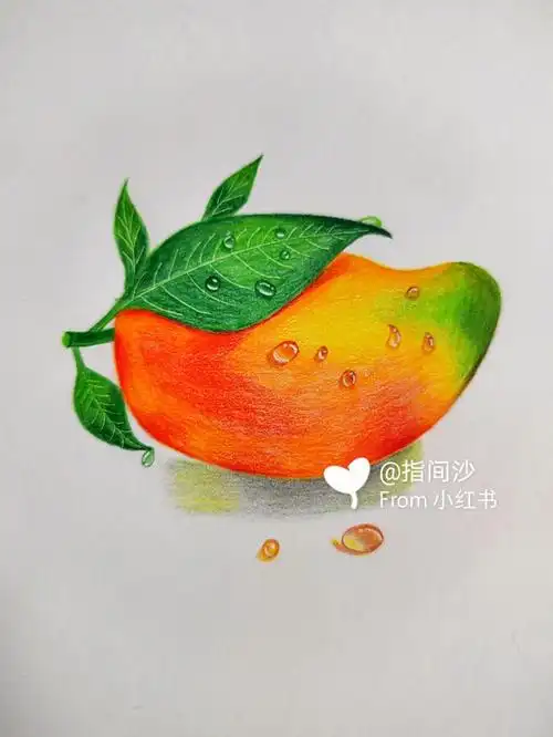 彩铅芒果03