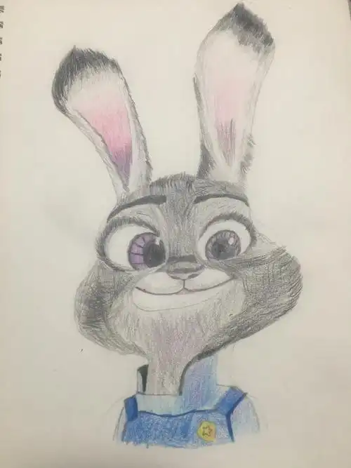 疯狂动物城朱迪