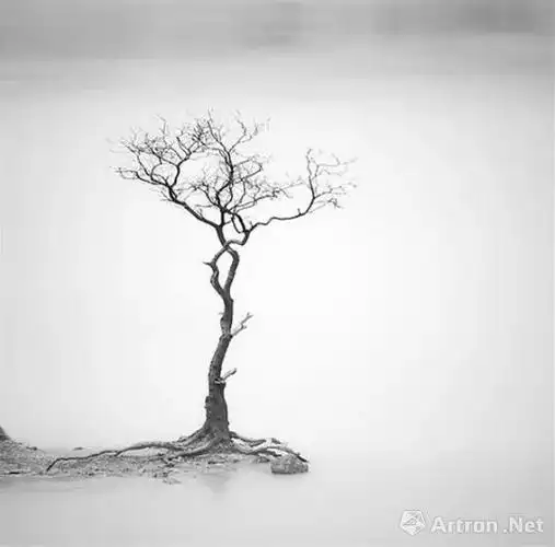 学会留白,照片怎么拍都好看.-市场观察-雅昌艺术市场监测中心