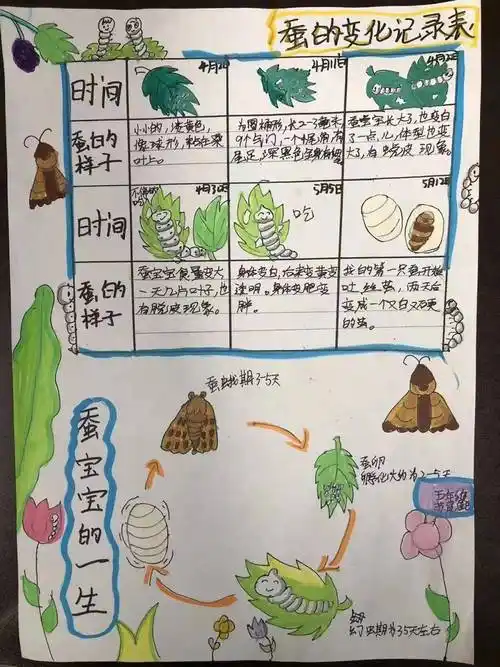生命 破茧成蝶 i 崛起少年"守护天使"行动成果展示_蚕宝宝_过程_成长