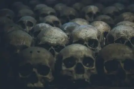 在黑暗中的一排令人毛骨悚然的头骨.