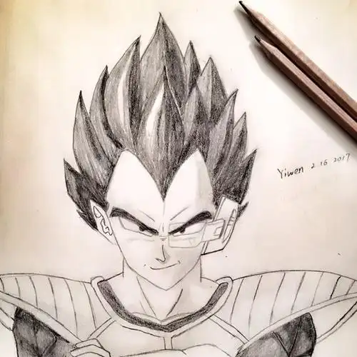 以前画的贝吉塔～最喜欢的龙珠角色