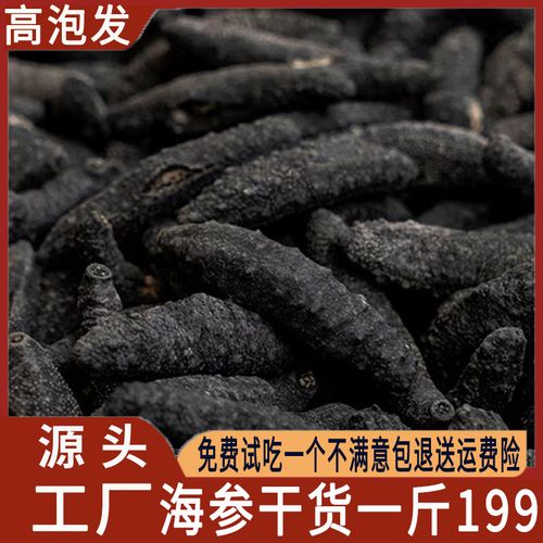 9年海参一斤500g特大刺参野生干货非进口土耳其北极参非即食海参