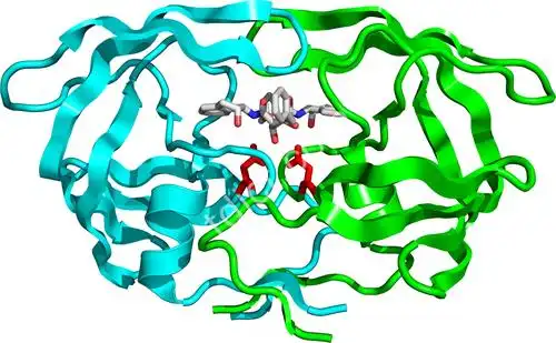 英文单词protease的中文释义,英文释义,双语句库,英文句库,同义词