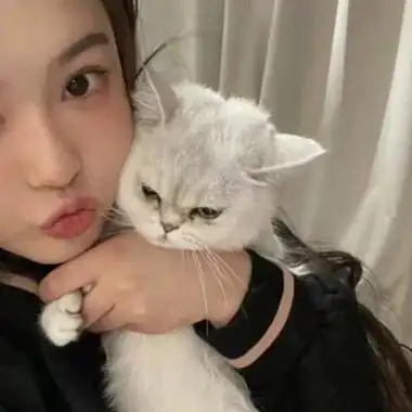 抱猫咪的可爱女生头像qq头像女生抱着猫可爱