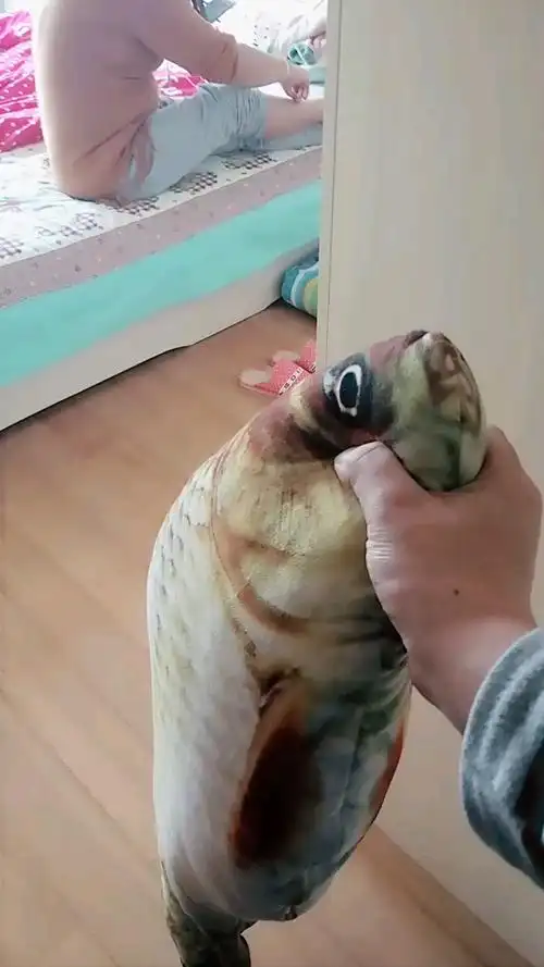 搞笑鱼来了吓一跳