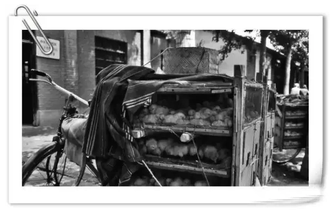 "锯盆子锯碗锯大缸,锯的