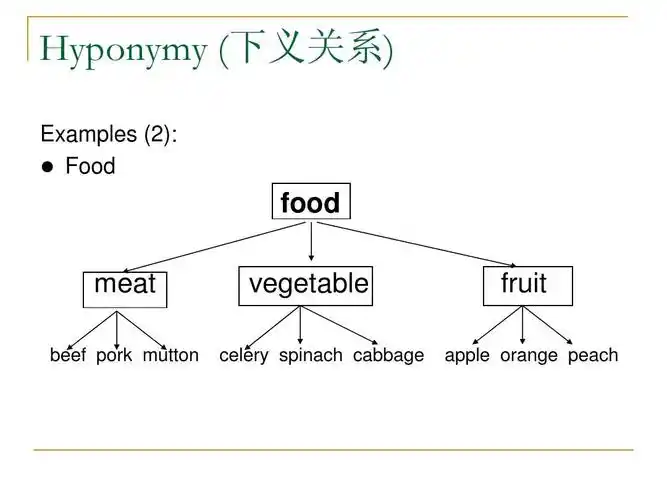 sr (hyponymy and semantic field)ppt