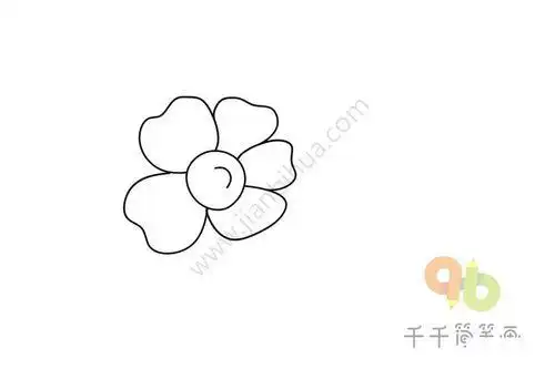 大王花简笔画图片