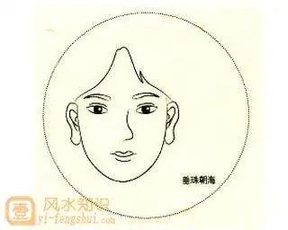 "垂珠朝海"是指耳垂长,肥厚,并且耳朵的形状朝着嘴巴方向生长的人.