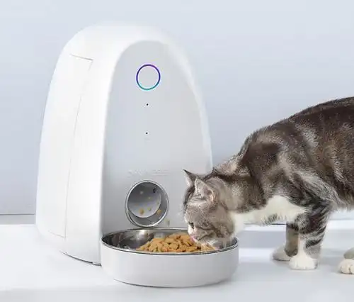 智能宠物喂食器推荐为你的宠物进食有更好的选择