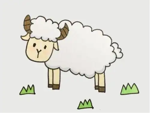 可爱小羊简笔画彩色可爱山羊简笔画简单步骤图片