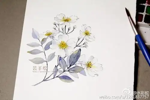 荼蘼花简笔画