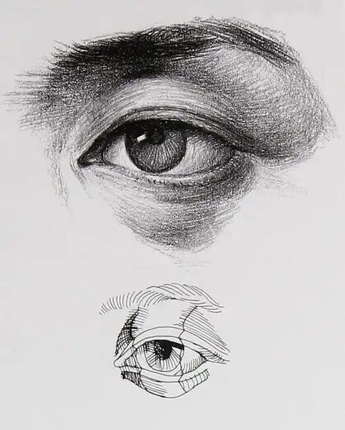 画人像的关键一大波眼部素描素材来袭